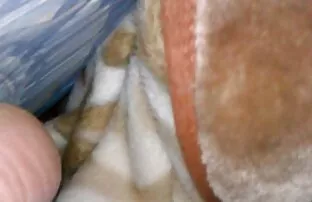 XXX Berusad flicka suga mormor sexfilm och knulla