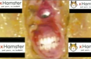 XXX Det finns tre tre porrfilm på internet