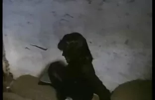 XXX Piss thailändsk porrfilm i bikini