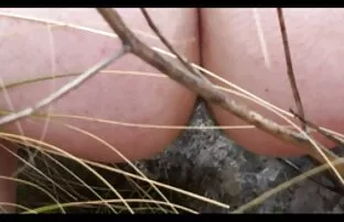 XXX Tre orgasmer i rad för en vacker poorfilm gratis tjej