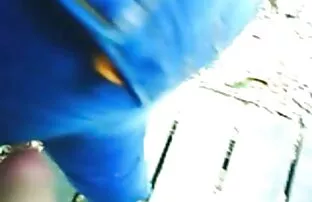 XXX Han är på min mogen hårdporr kuk
